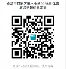 20250708172647294729.webp