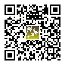W020250718592037200352.webp