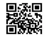 6389266379149295329925710.webp